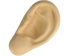 Anti stress ear