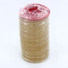 Mylar 1000 pcs. plastic front for 37 mm badges and magnets