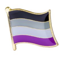 Asexual Flag Enamel Pin