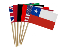 Cake Flags - Custom Design from Just 1000 Pieces