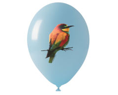 Photo Balloons / Full-Color Balloons with Print