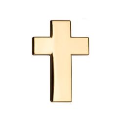 Guld kors pin 