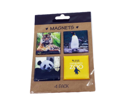 Magnets 4-Pack