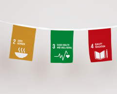 Sustainable Development Goals Flags of the World